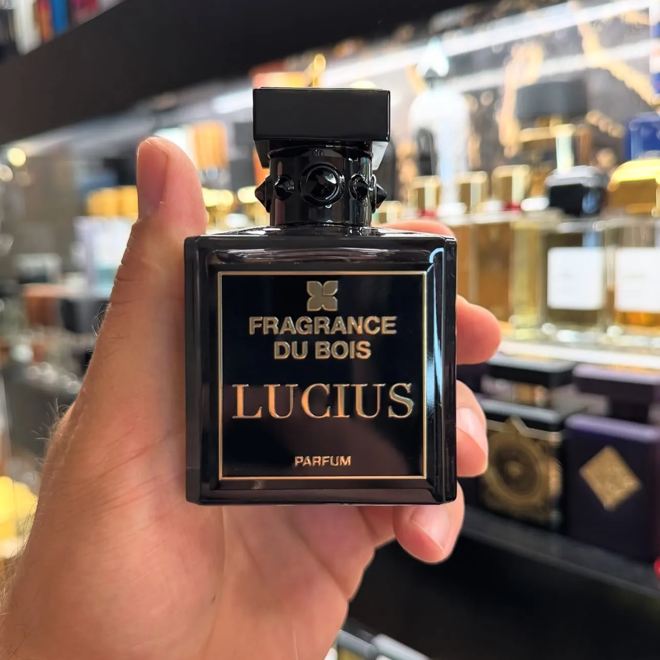 Lucius фото 2