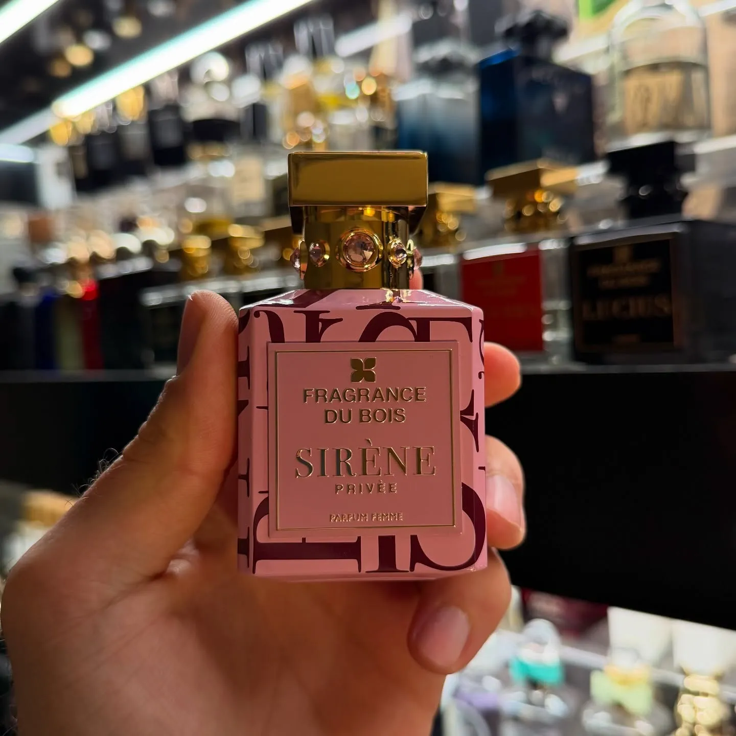 Sirène фото 2